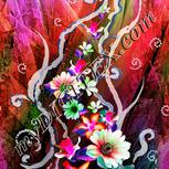 Colour:B