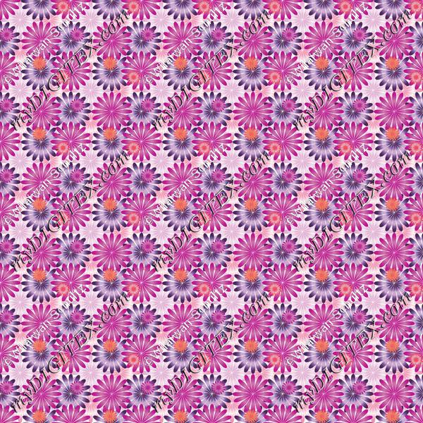 flowers C2 170604