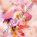 Colour:J