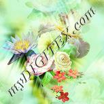 Colour:K