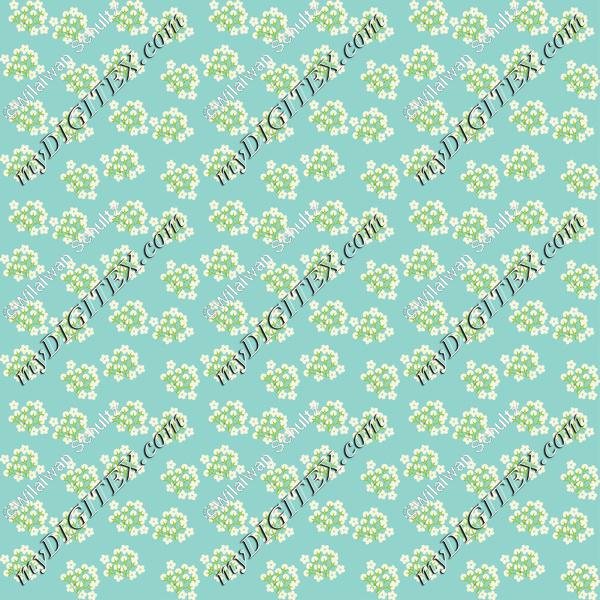 flower 5 C2 170509