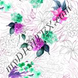 Colour:B