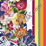 Colour:A