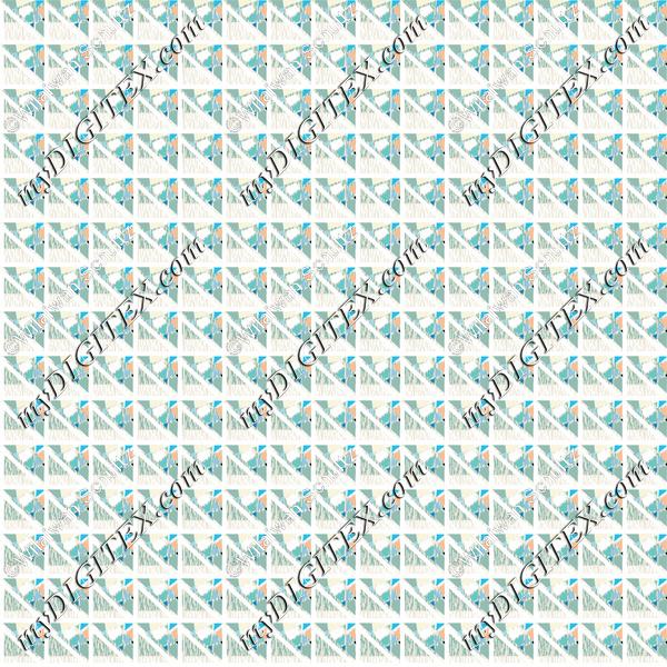 Geometric Pattern 195 C2 170321