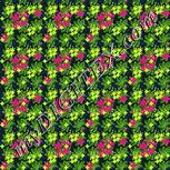 Colour:K