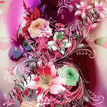 Colour:B