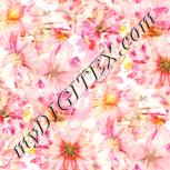 Colour:J