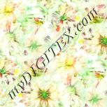 Colour:K