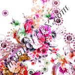 Colour:B