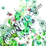 Colour:C