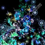 Colour:F