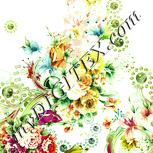 Colour:K