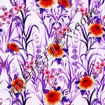 Colour:B