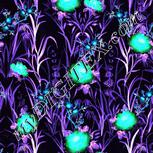 Colour:F