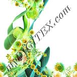 Colour:K