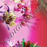 Colour:B