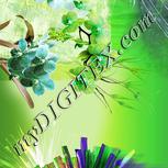 Colour:D
