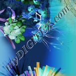 Colour:F