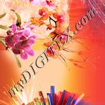 Colour:J