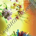 Colour:K
