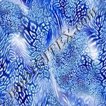 Colour:F