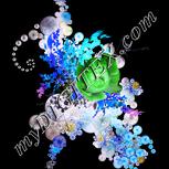 Colour:F