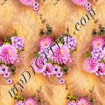Colour:J
