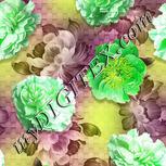 Colour:D