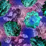 Colour:F