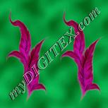 Colour:B