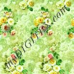 Colour:K