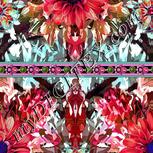 Colour:B