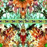 Colour:K