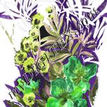 Colour:D