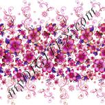 Colour:B