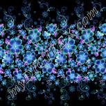 Colour:F