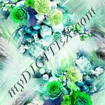 Colour:C
