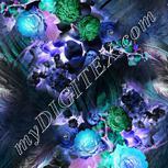 Colour:F
