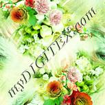Colour:K