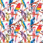 Colour:J