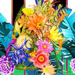 Colour:J