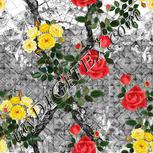 Colour:A