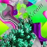 Colour:C