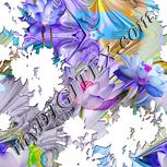 Colour:A