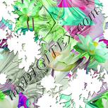 Colour:B