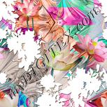 Colour:C