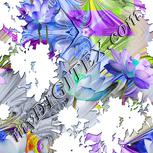 Colour:D