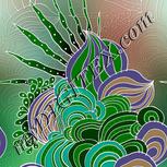 Colour:C