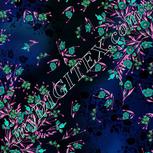 Colour:F