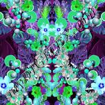 Colour:C